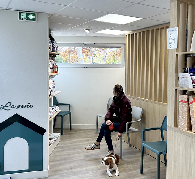 accueil salle d'attente pour chat et chien à Auterive en Haute-Garonne 31