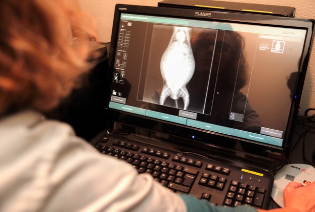 imagerie radiologie à Auterive en Haute-Garonne 31